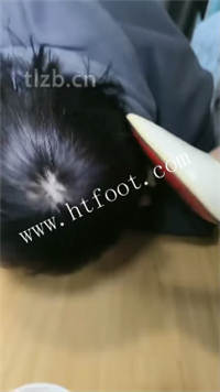 o1vxg1b144i.jpg