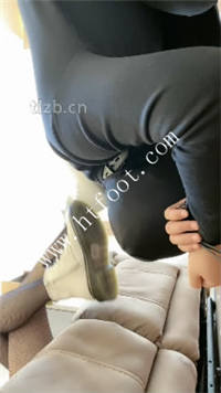 3qizxg3i54i.jpg