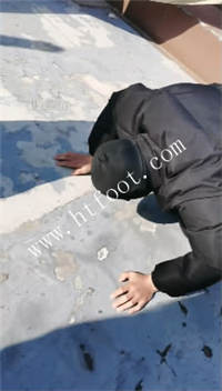 l1ck0btqknq.jpg