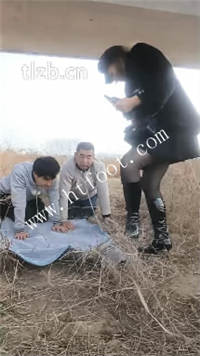 uslqpzvwb1r.jpg