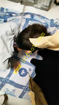 chxybbjno15.jpg