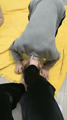 axf0tdpvl0j.jpg
