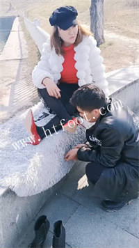 cfx3ad0biwe.jpg
