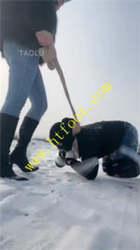 13fzsqd4tjz.jpg