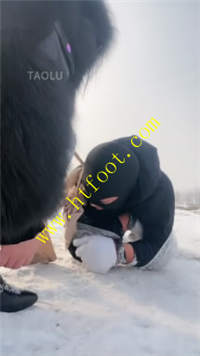 qrtirkpswez.jpg