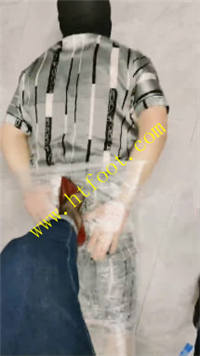 wiiv2bcesev.jpg