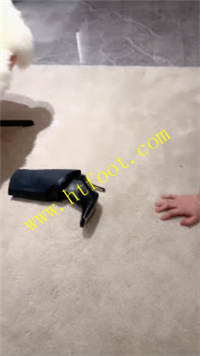 ehrg1kxmdjb.jpg
