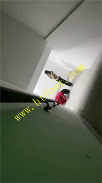 bsk0d01gx30.jpg