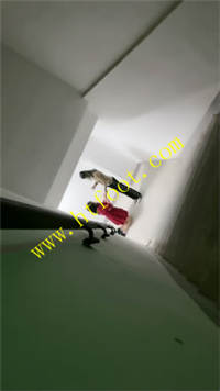 pkex5uhxahr.jpg