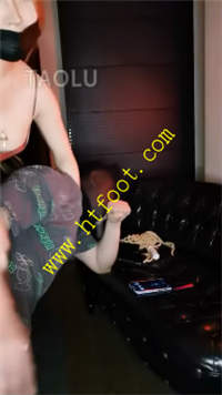 5sq3mnv05r5.jpg