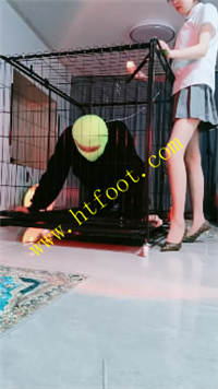 bt30st4e2vh.jpg
