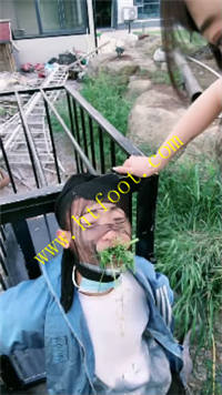 deftshhsnqk.jpg