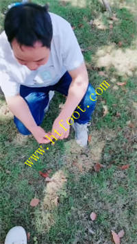 srw4tvuermj.jpg