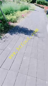 gpwwk2efhpg.jpg