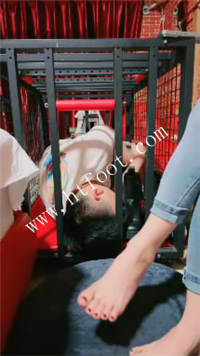 oz0cowy4hen.jpg