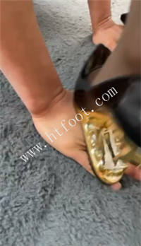 zfjs5authlj.jpg