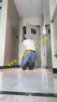 dvna13nesns.jpg