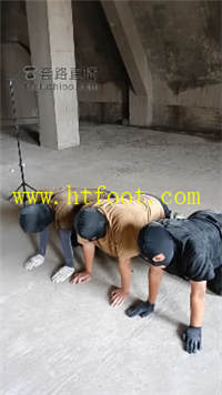 xlp0i2p11jt.jpg