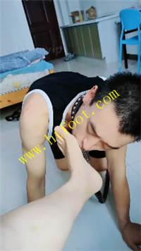 tiiqpqdzdsp.jpg