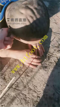 budoqangcuv.jpg