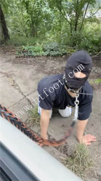 tf4svh2mipp.jpg
