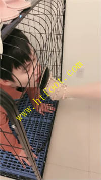 lxt0gngyy22.jpg