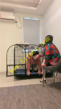 njsrvok5lcy.jpg