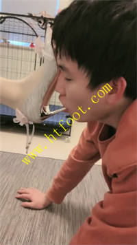 jtvu1w1urq2.jpg