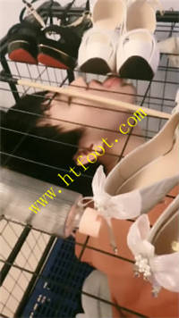 h21yz24aqkk.jpg