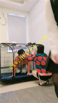 soyskvq0l32.jpg