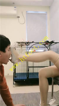 wndohi02cbi.jpg