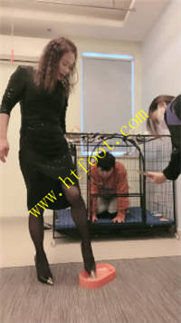 3vppawacdl5.jpg