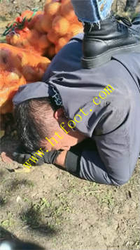 qfm0lt30qet.jpg