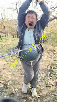 nxx45fboemj.jpg