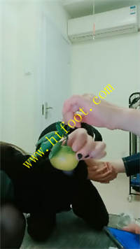 cdp4nxhsjo0.jpg