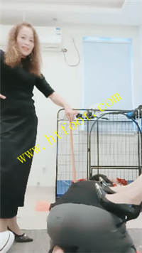 1py2mz43j5n.jpg