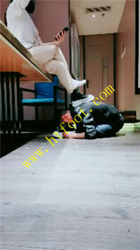 z4rdjard4l2.jpg