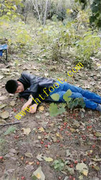 hc2qzi0wfcq.jpg