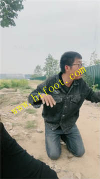 pldpd55db41.jpg