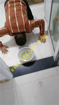 eggsjgi3qsl.jpg