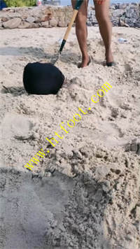 aeuc5dsdjzb.jpg
