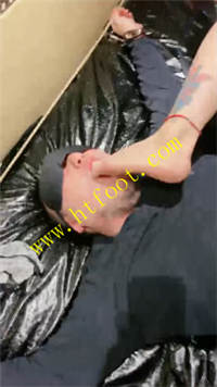 aossf3xvh05.jpg
