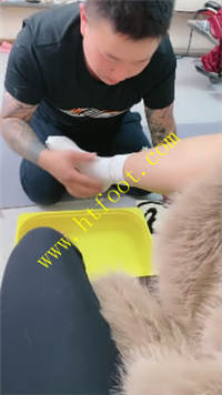 jvxyldfcdlf.jpg