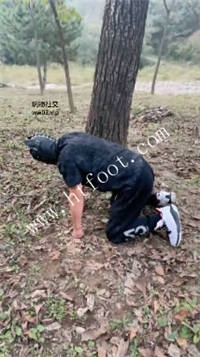 kwoqxncjkrn.jpg