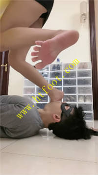 pfpi042x1ld.jpg