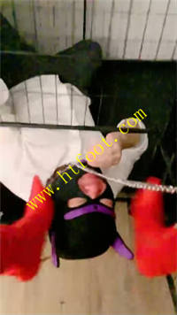 vdu2fs0xsij.jpg