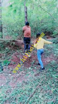 0lnkq1nc131.jpg