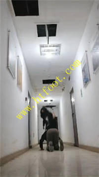 w40foxq3hdm.jpg