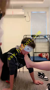 dmfyiptmx11.jpg