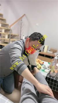 kllwaegltpk.jpg